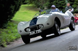 ARNOLT Bristol Bolide Deluxe (1954)Bas Gerard_Bas&nbsp;Lorenzo