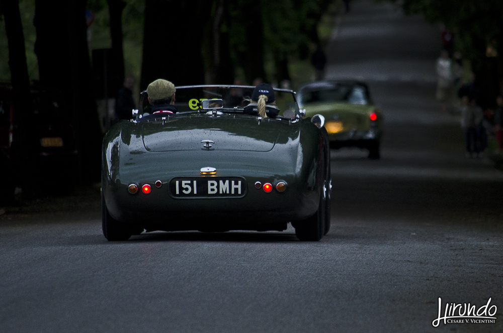 ASTON MARTIN DB 3S (1952) Louwman Quirina Wood James