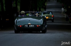 ASTON MARTIN DB 3S (1952)_Louwman Quirina_Wood&nbsp;James