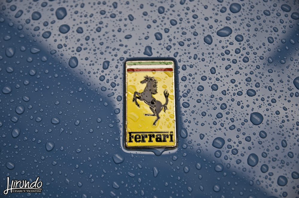 FERRARI 250 GT LWB TdF (1956) Gruss Martin