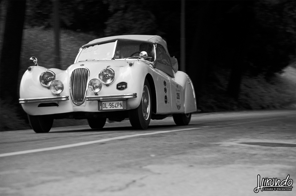 JAGUAR XK 120 OTS (1952) Becchetti Romolo Becchetti Fabio