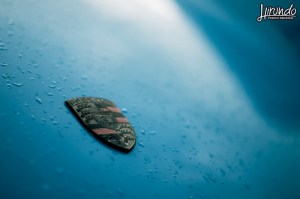 Editorial_Argiolas (8)