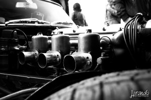 Editorial_Carbone (2)