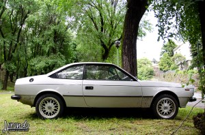 Editorial_Vicentini (2)