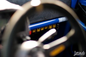 squirrell fusibili 01