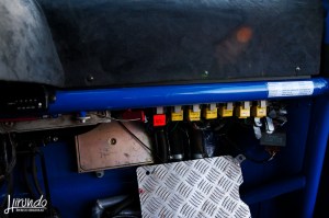 squirrell fusibili 02