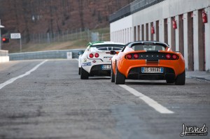 Lotus_Agosto_Carbone (1)