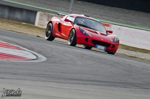 Lotus_Agosto_Vicentini (1)