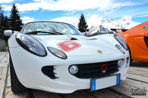 Lotus_Agosto_Vicentini (10)