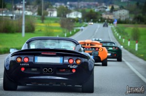 Lotus_Agosto_Vicentini (12)