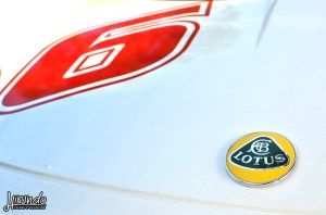 Lotus_Agosto_Vicentini (13)