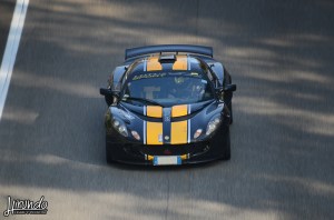 Lotus_Agosto_Vicentini (15)