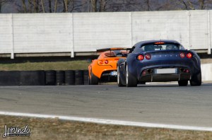 Lotus_Agosto_Vicentini (2)