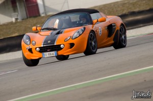 Lotus_Agosto_Vicentini (5)