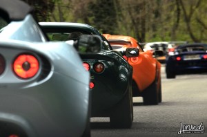 Lotus_Agosto_Vicentini (7)