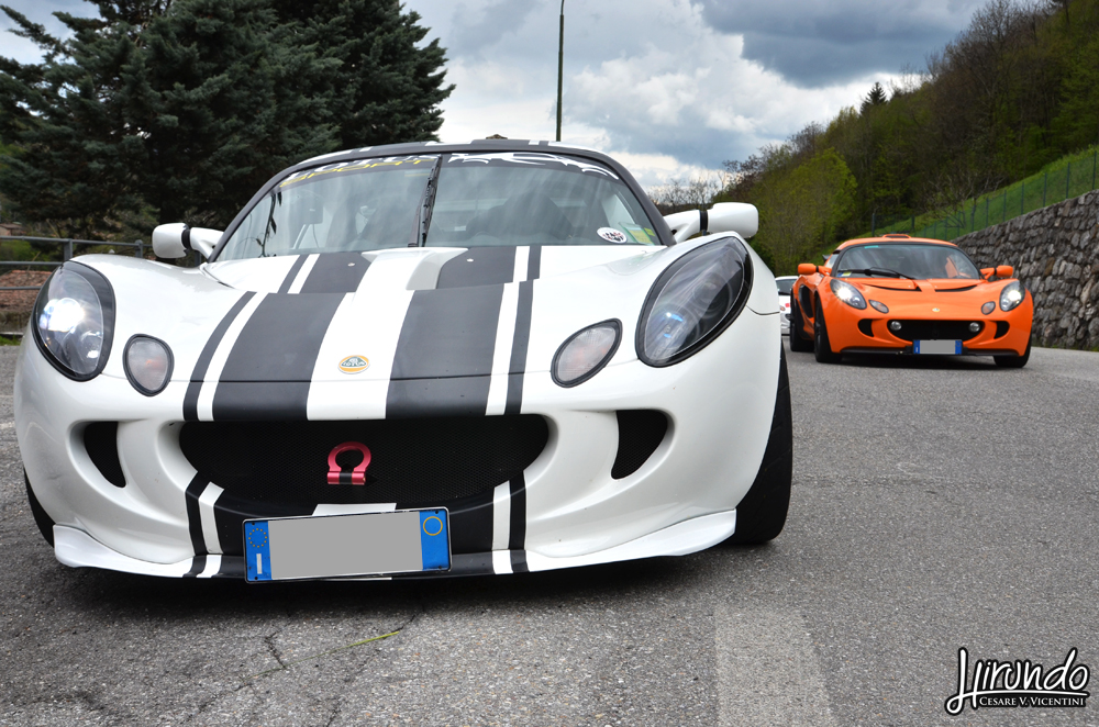 Lotus_Agosto_Vicentini (8)