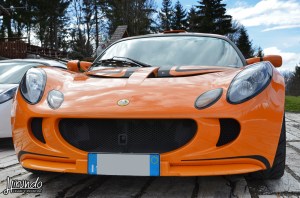 Lotus_Agosto_Vicentini (9)