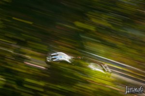 Vallecamonica_Carbone