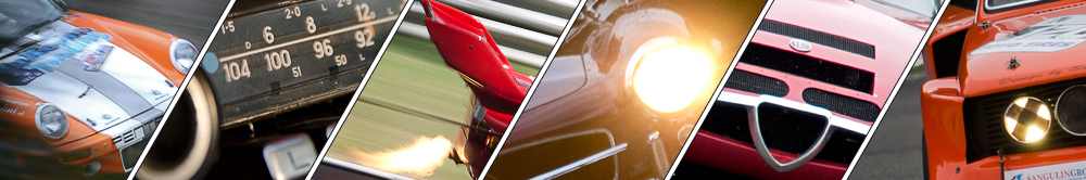 2013_Review_Vicentini