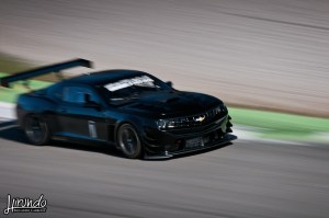 WTD_Marzi_Carbone (11)