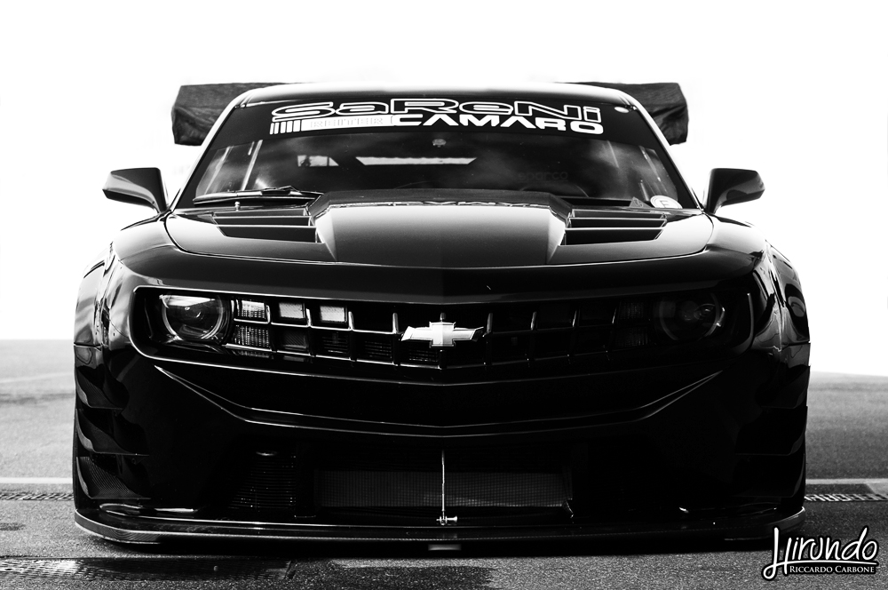 WTD_Marzi_Carbone (15)