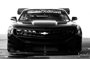 WTD_Marzi_Carbone (15)