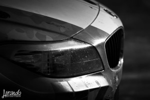 WTD_Marzi_Carbone (17)