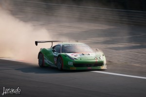 BES_2014_Carbone (12)