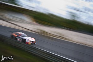 BES_2014_Carbone (13)