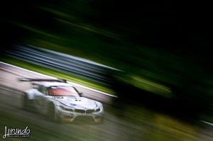 BES_2014_Carbone (15)