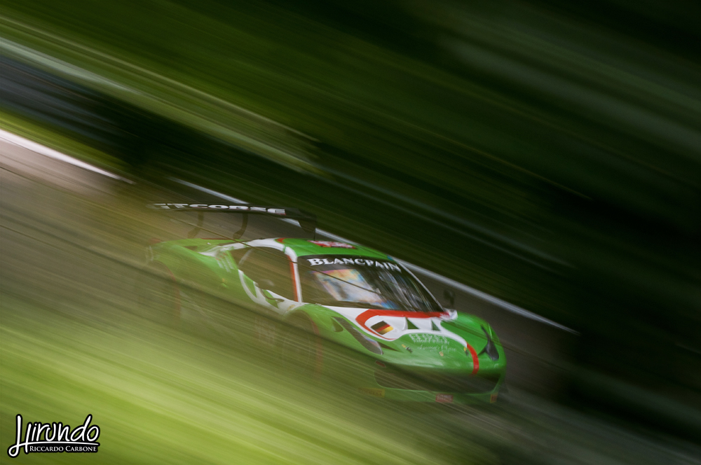 BES_2014_Carbone (16)