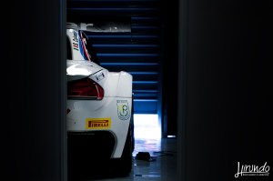 BES_2014_Carbone (19)