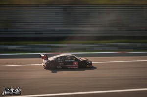 BES_2014_Carbone (2)