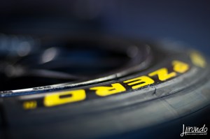 BES_2014_Carbone (23)