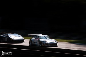 BES_2014_Carbone (9)