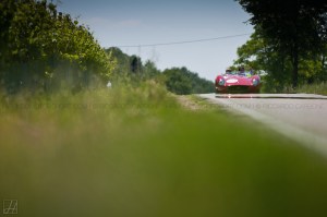 MilleMiglia_Carbone (9)