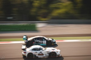 BES_2015_Carbone (1)