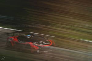 BES_2015_Carbone (13)