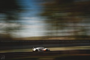 BES_2015_Carbone (14)