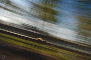 BES_2015_Carbone (15)