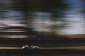 BES_2015_Carbone (16)