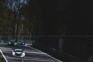 BES_2015_Carbone (17)