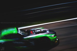 BES_2015_Carbone (19)