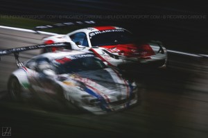 BES_2015_Carbone (5)