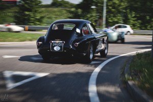 MilleMiglia2015_Carbone (12)