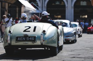 MilleMiglia2015_Carbone (20)