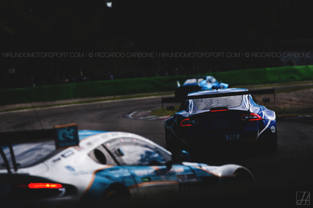 BES2016_Carbone (10)