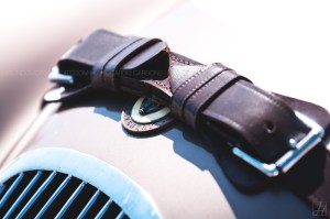 MilleMiglia2016_Carbone (10)