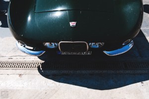 MilleMiglia2016_Carbone (2)