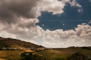 DSC_6929